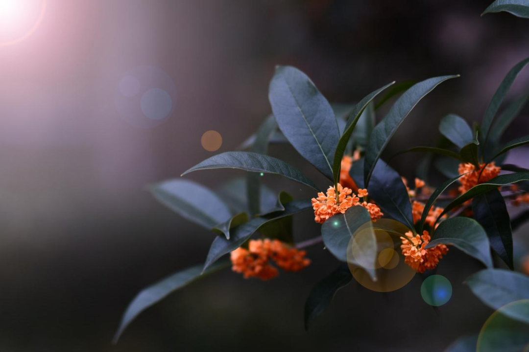 微信图片_20230905143327